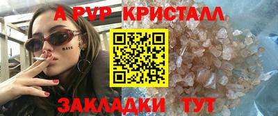 крисы Кунгур