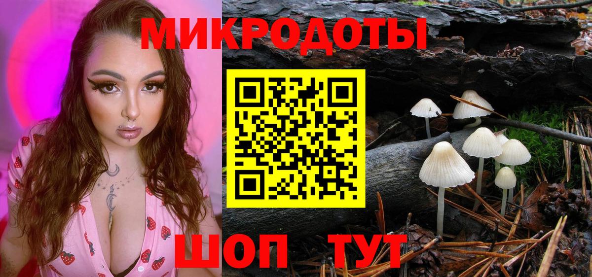Галлюциногенные грибы мухоморы Елец