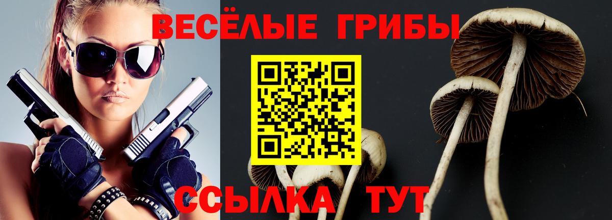 наркотики  Галлюциногенные грибы GOLDEN TEACHER  Елец  Вход с VPN  Галлюциногенные грибы Psilocybe 